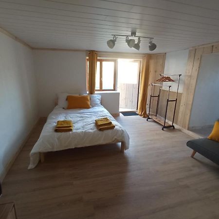 Studio Meuble Proche Des Thermes Cransac Екстер'єр фото